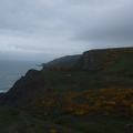 Devon Coastline