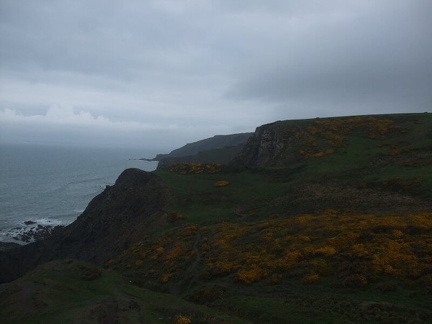 Devon Coastline