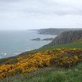 Henna Cliff