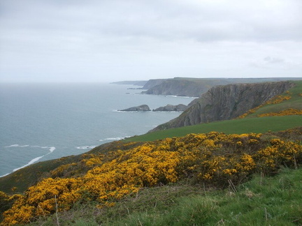 Henna Cliff