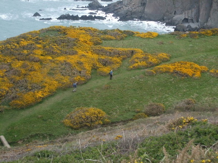 Henna Cliff