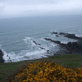 Maer Cliff