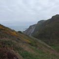Near Higher Sharpnose Point