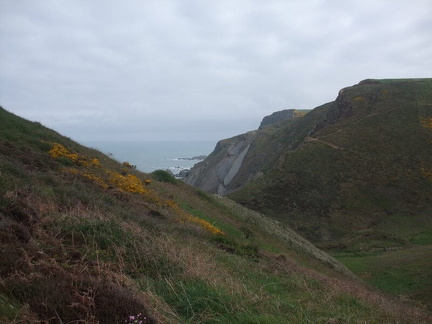 Near Higher Sharpnose Point