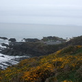 Screda Point