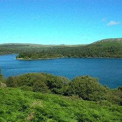Yelverton