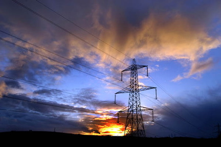Ivy PYLON