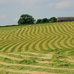  Moretonhampstead