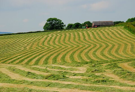  Nr Moretonhampstead (Rural Scene)