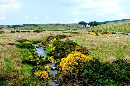 View of Dartmoor