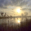 Dawn Over Exeter Canal