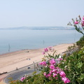 Exmouth Beach and Estuary