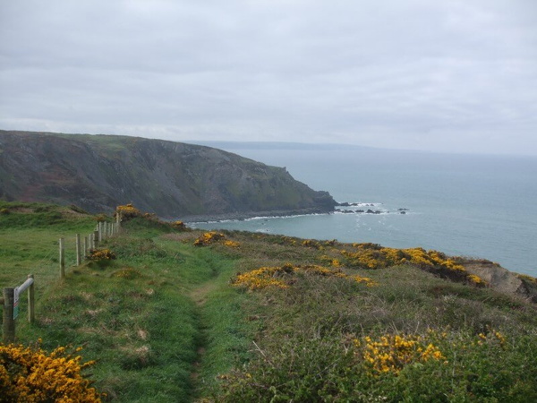 stanbury-mouth.jpg