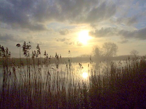 DSCF1093.JPG